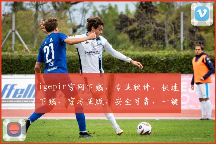igepir官网下载，专业软件，快速下载，官方正版，安全可靠，一键获取，不容错过，体验高效办公