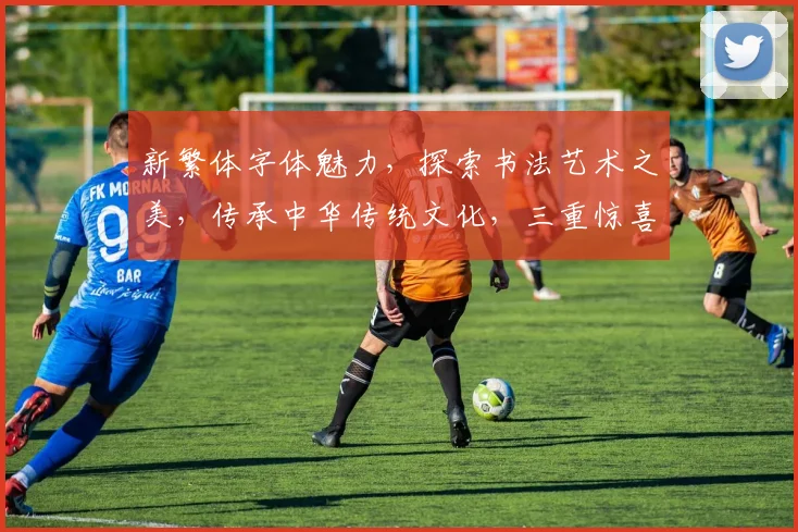 新繁体字体魅力，探索书法艺术之美，传承中华传统文化，三重惊喜等你来发现